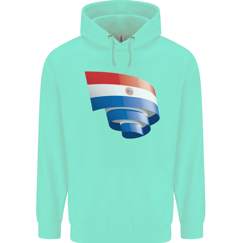 Curled Paraguay Flag Paraguayan Day Football Childrens Kids Hoodie Peppermint