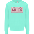 Cute Funny Periodic Table Kids Sweatshirt Jumper Peppermint
