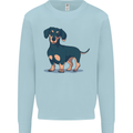 Dachshund Dog Kids Sweatshirt Jumper Light Blue