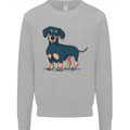 Dachshund Dog Kids Sweatshirt Jumper Sports Grey
