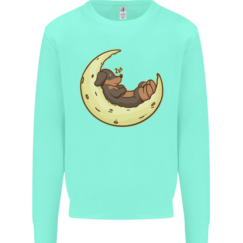 Dachshund Dog Moon Kids Sweatshirt Jumper Peppermint