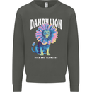 Dandylion Funny Lion Kids Sweatshirt Jumper Storm Grey
