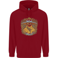 Dinosaur Abduction Aliens UFO T-Rex Childrens Kids Hoodie Red