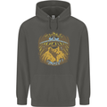 Dinosaur Abduction Aliens UFO T-Rex Childrens Kids Hoodie Storm Grey