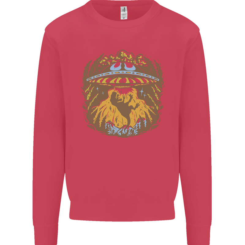 Dinosaur Abduction Aliens UFO T-Rex Kids Sweatshirt Jumper Heliconia