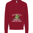 Dinosaur Coming Soon New Baby Pregnancy Kids Sweatshirt Jumper Red