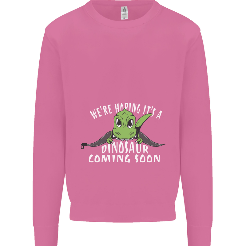 Dinosaur Coming Soon New Baby Pregnancy Mens Sweatshirt Jumper Azalea