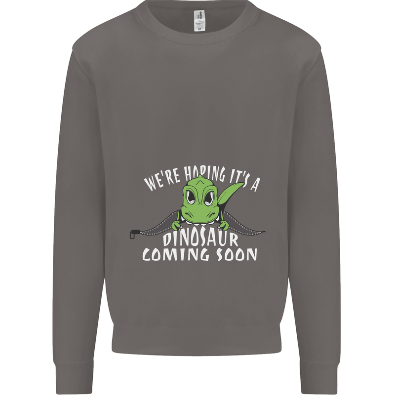 Dinosaur Coming Soon New Baby Pregnancy Mens Sweatshirt Jumper Charcoal