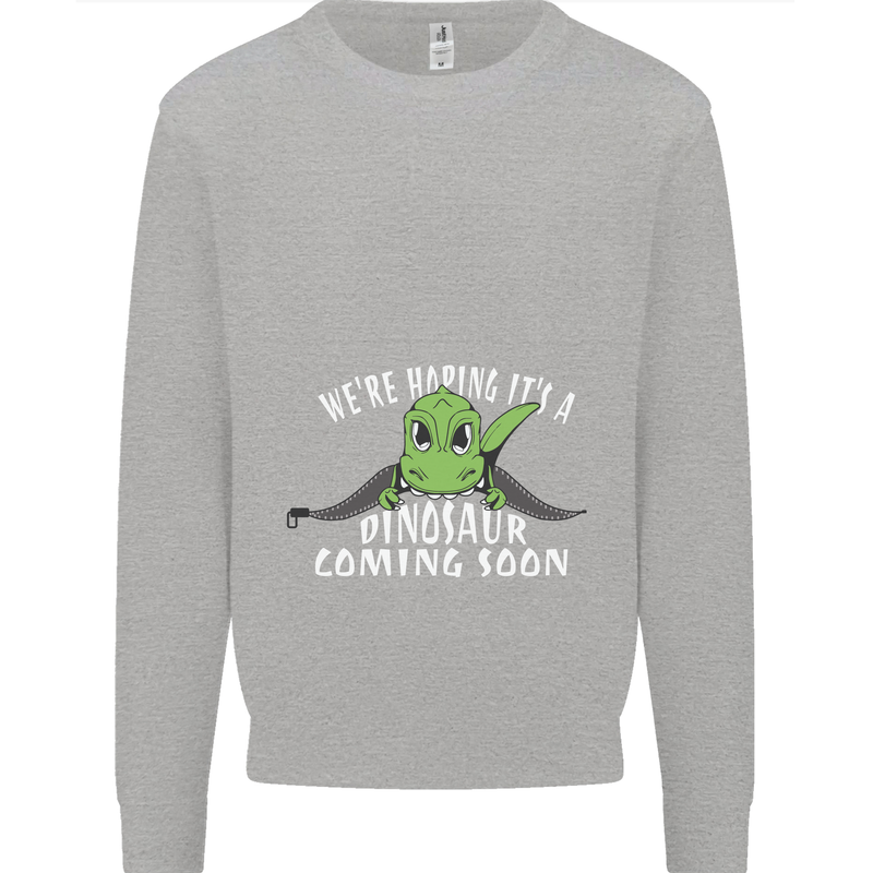 Dinosaur Coming Soon New Baby Pregnancy Mens Sweatshirt Jumper Sports Grey