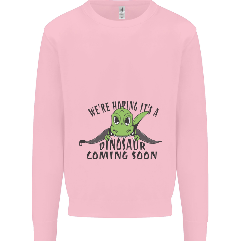 Dinosaur Coming Soon New Baby Pregnancy Pregnant Kids Sweatshirt Jumper Light Pink