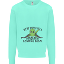 Dinosaur Coming Soon New Baby Pregnancy Pregnant Kids Sweatshirt Jumper Peppermint