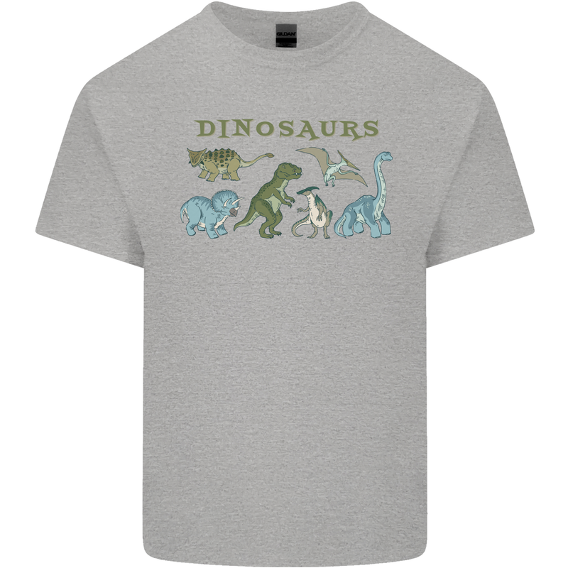 Dinosaurs T-Rex Triceratops Pteranodon Kids T-Shirt Childrens Sports Grey