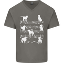 Dog Music Musical Notes Piano Guitar Mens V-Neck Cotton T-Shirt Charcoal