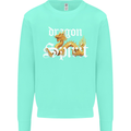 Dragon Spirit Fantasy Kids Sweatshirt Jumper Peppermint