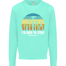 Electrician Here to Strip Funny Sparky Kids Sweatshirt Jumper Peppermint