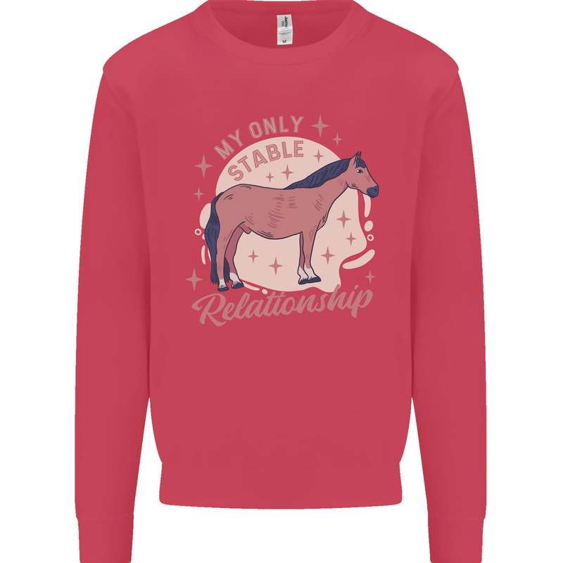 Equestrian Horse My Only Stable Relationship Mens Sweatshirt Jumper Heliconia