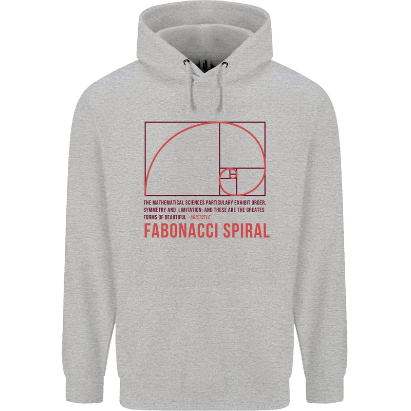 Fibonacci Spiral Mathematics Maths Science Childrens Kids Hoodie Sports Grey