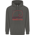 Fibonacci Spiral Mathematics Maths Science Childrens Kids Hoodie Storm Grey