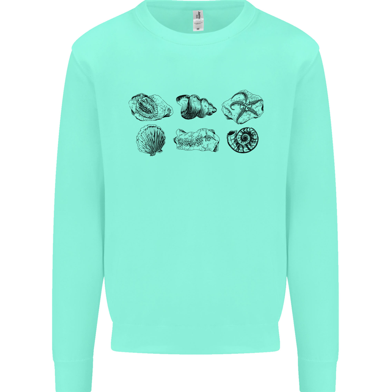 Fossil Set Palaeontologist Palaeontology Mens Sweatshirt Jumper Peppermint