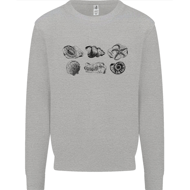 Fossil Set Palaeontologist Palaeontology Mens Sweatshirt Jumper Sports Grey