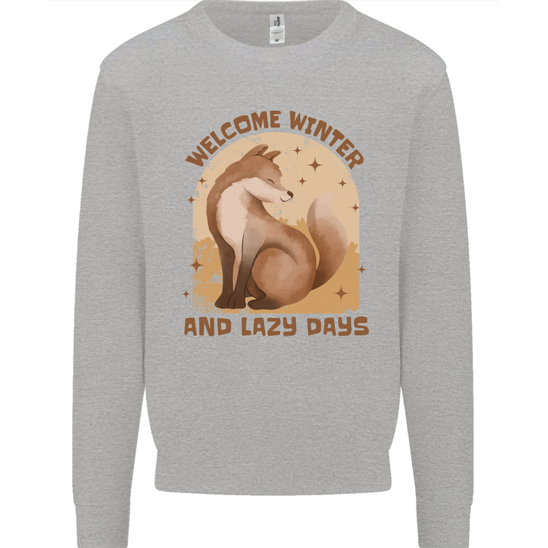 Fox Welcome Winter and Lazy Days Kids Sweatshirt Jumper Sports Grey