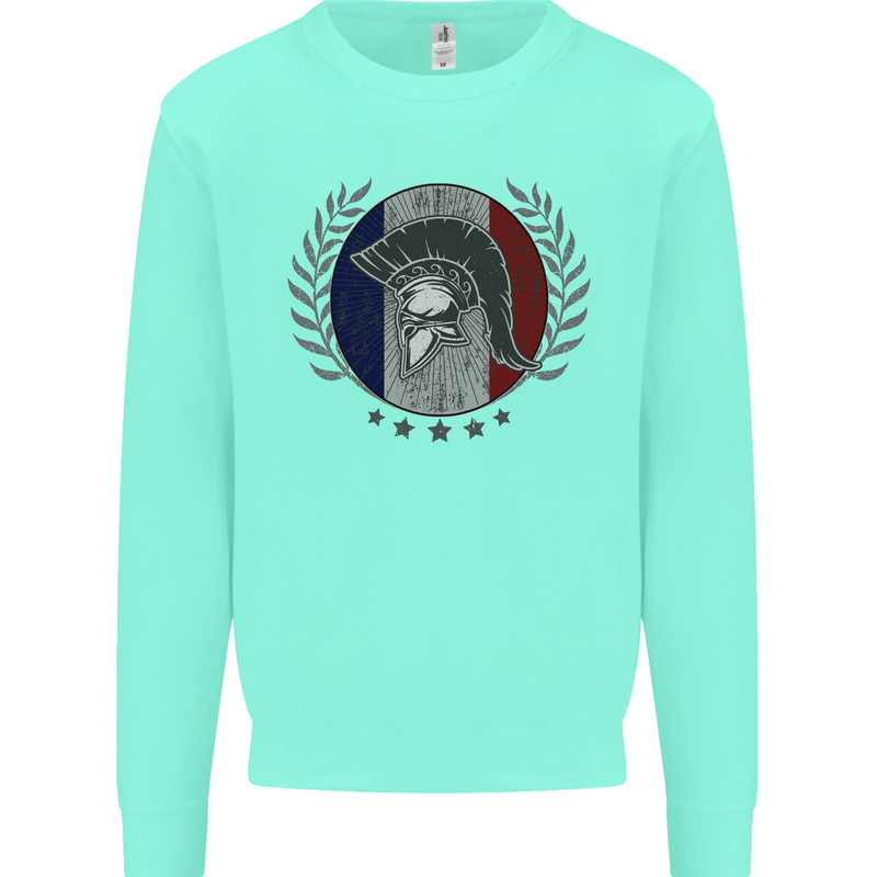 French Bodybuilding Flag Gym Training France Mens Sweatshirt Jumper Peppermint