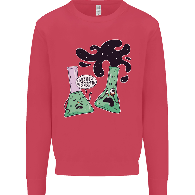 Funny Chemistry Overreacting Geek Nerd Kids Sweatshirt Jumper Heliconia