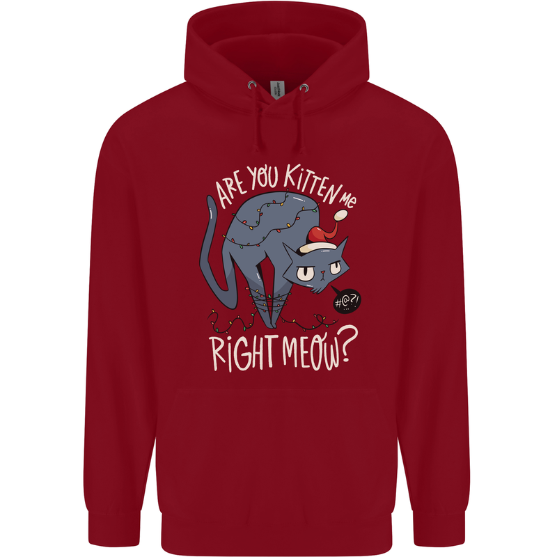 Funny Christmas Cat Bah Humbug Xmas Childrens Kids Hoodie Red