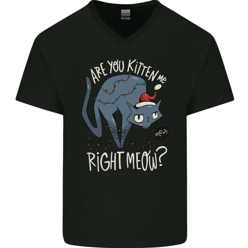 Funny Christmas Cat Bah Humbug Xmas Mens V-Neck Cotton T-Shirt Black