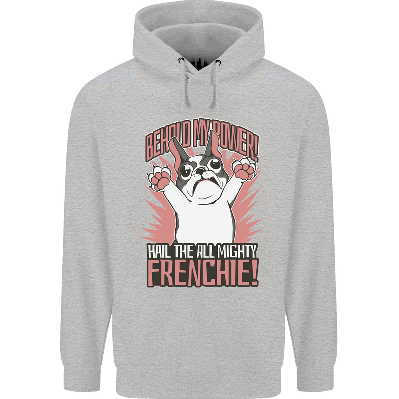 Funny French Bulldog Dog Frenchie Childrens Kids Hoodie Sports Grey