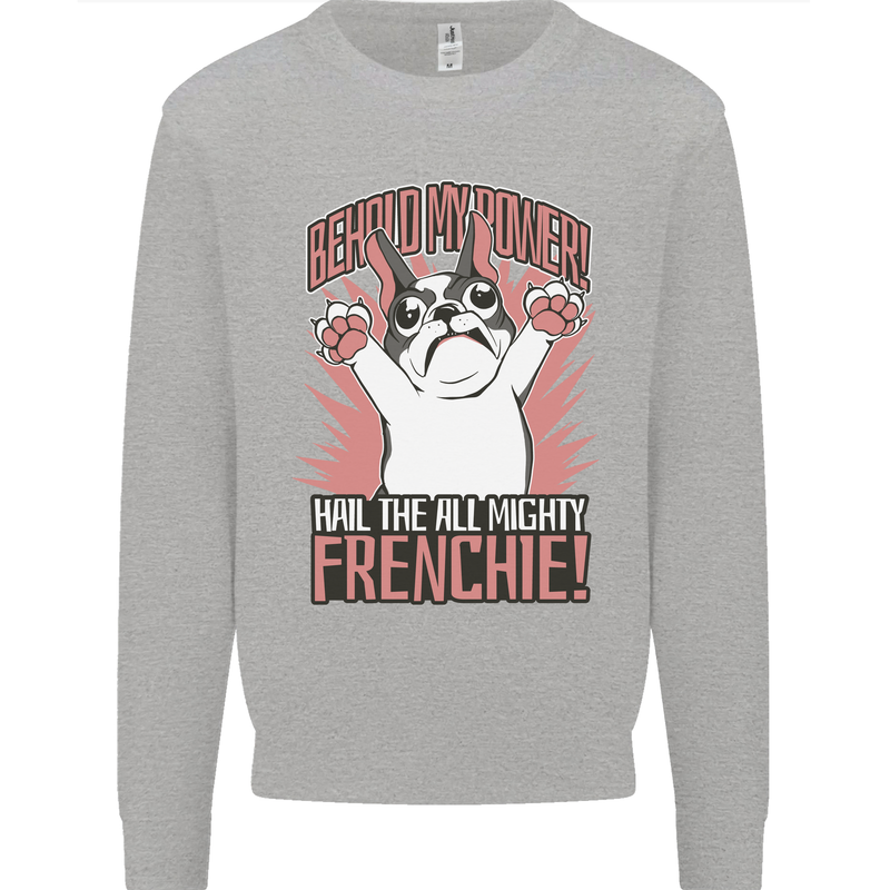 Funny French Bulldog Dog Frenchie Kids Sweatshirt Jumper Sports Grey