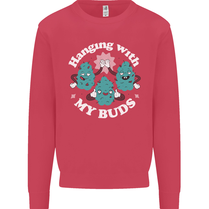Funny Weed Hanging With My Buds Cannabis Kids Sweatshirt Jumper Heliconia