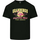 Gramingo Funny Grandma Flamingo Kids T-Shirt Childrens Black