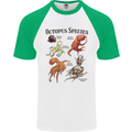 Octopus Species Sealife Scuba Diving Mens S/S Baseball T-Shirt White/Green