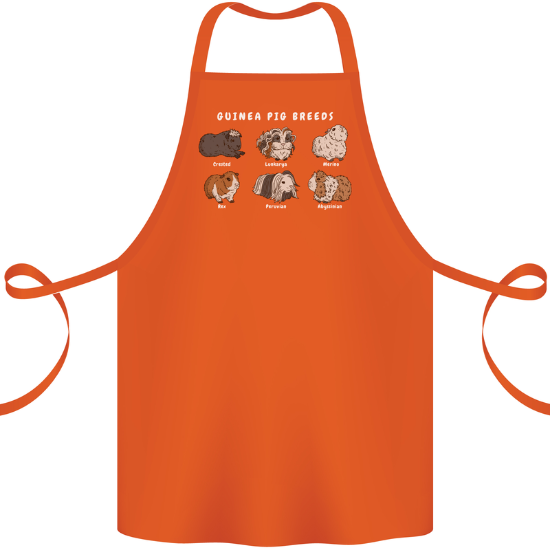 Guinea Pig Breeds 1 Cotton Apron 100% Organic Orange