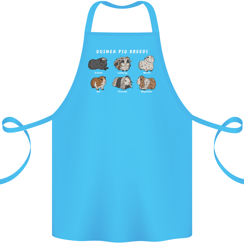 Guinea Pig Breeds 1 Cotton Apron 100% Organic Turquoise