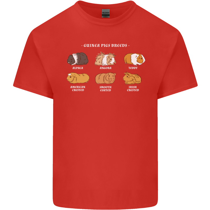 Guinea Pig Breeds 3 Mens Cotton T-Shirt Tee Top Red