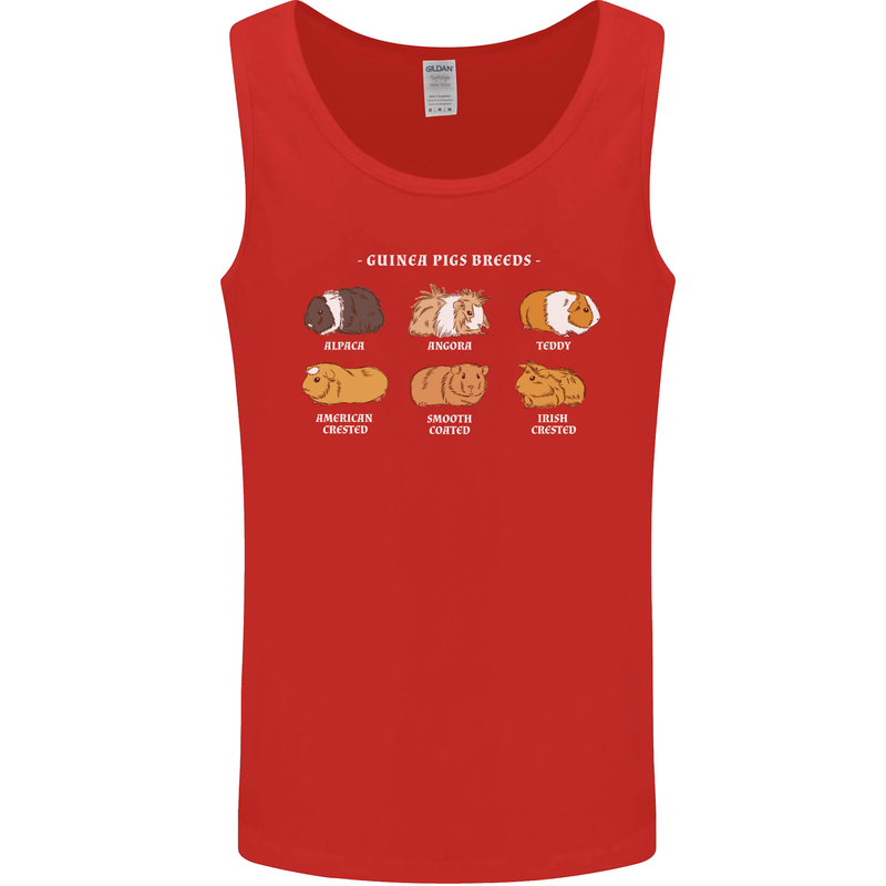 Guinea Pig Breeds 3 Mens Vest Tank Top Red