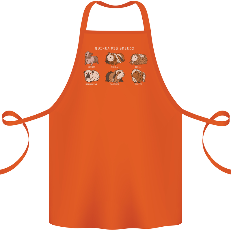 Guinea Pig Breeds 5 Cotton Apron 100% Organic Orange