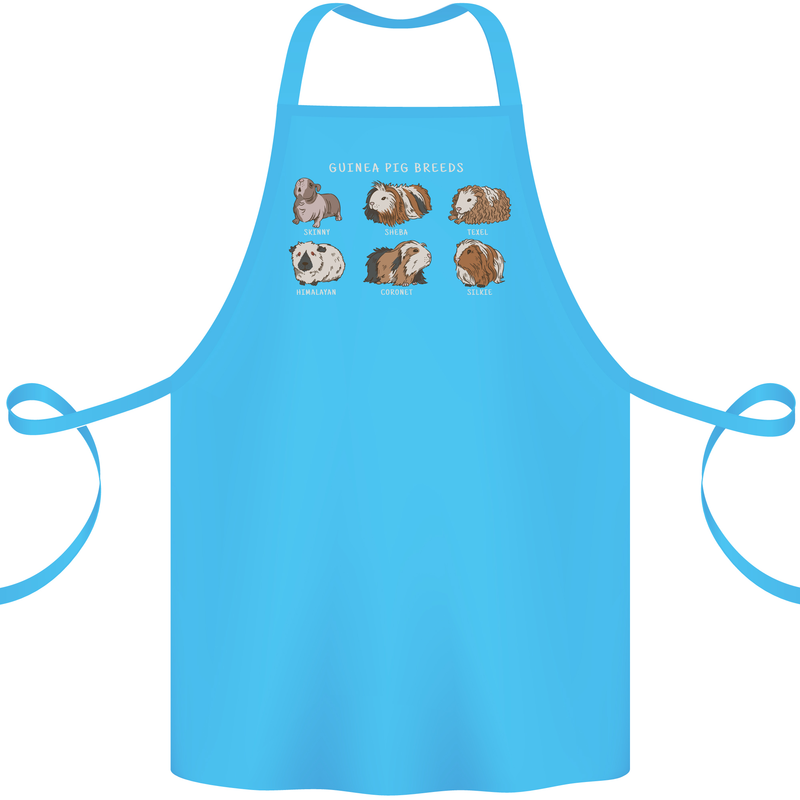 Guinea Pig Breeds 5 Cotton Apron 100% Organic Turquoise