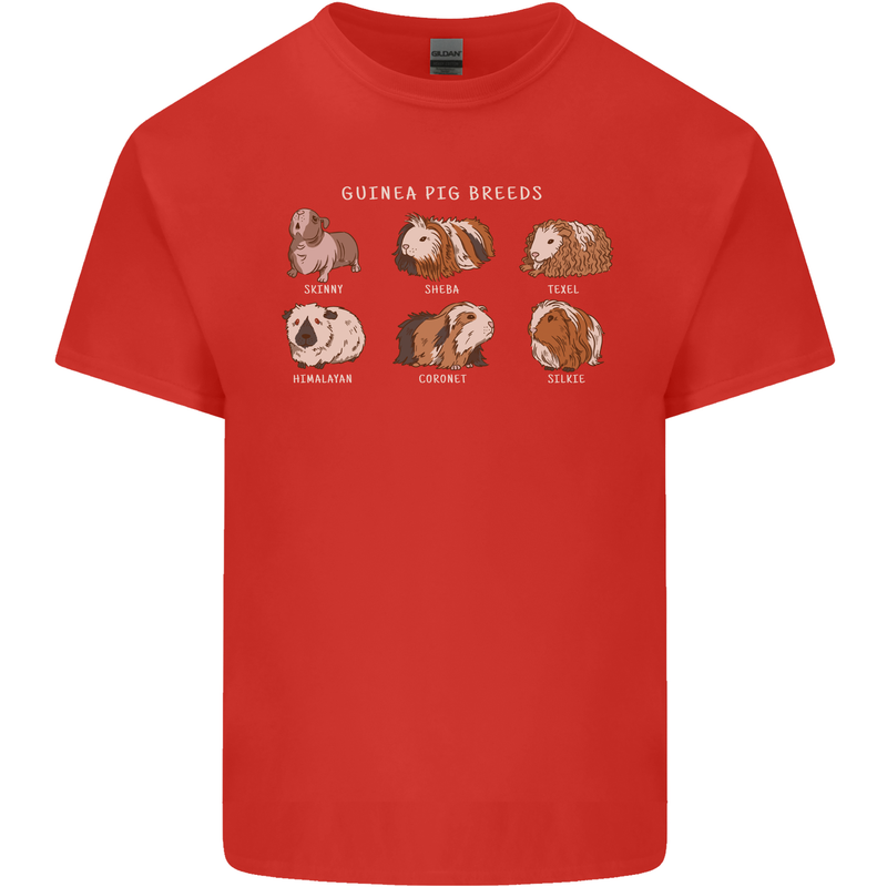 Guinea Pig Breeds 5 Mens Cotton T-Shirt Tee Top Red