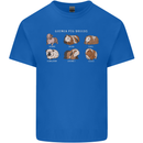 Guinea Pig Breeds 5 Mens Cotton T-Shirt Tee Top Royal Blue