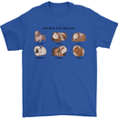 Guinea Pig Breeds 6 Mens T-Shirt 100% Cotton Royal Blue