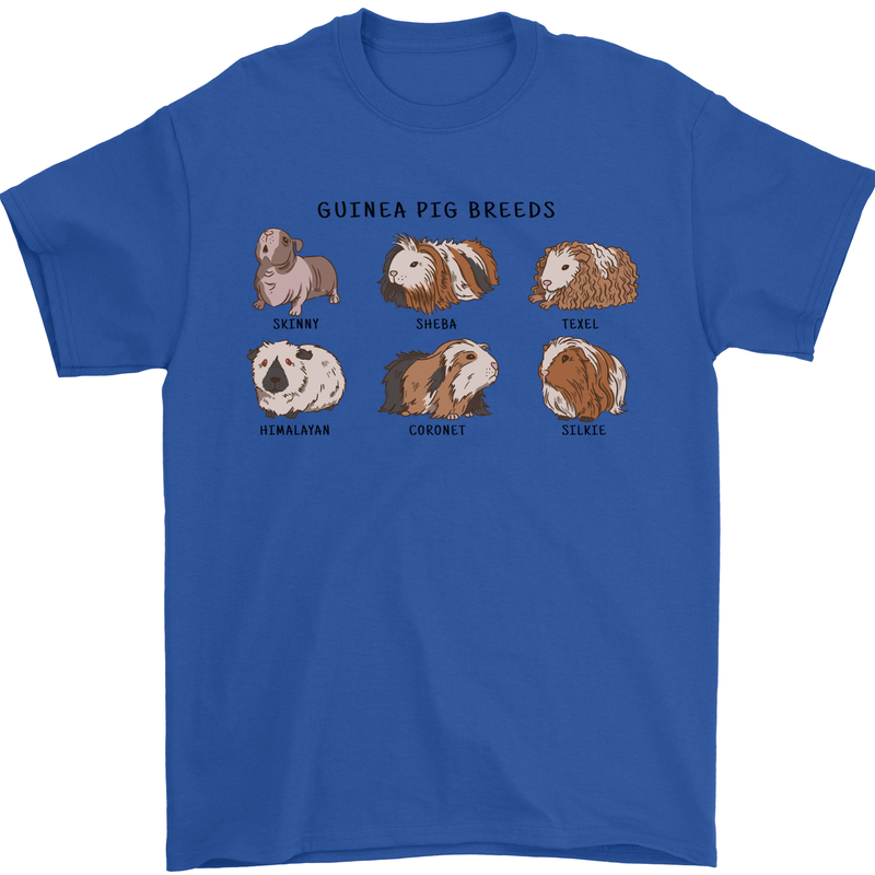 Guinea Pig Breeds 6 Mens T-Shirt 100% Cotton Royal Blue