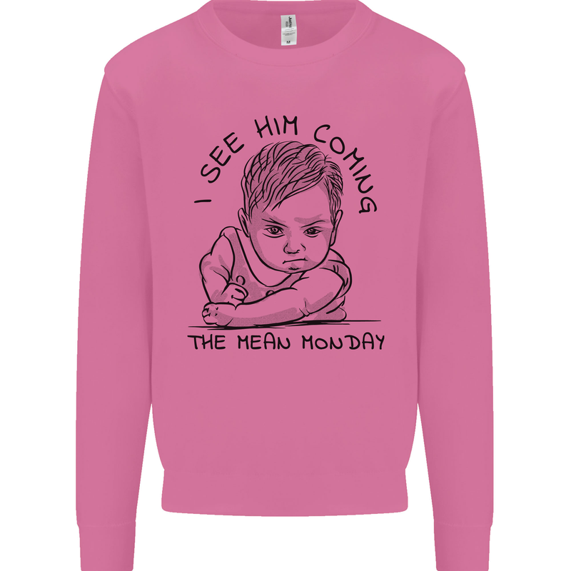 Hate Mondays Funny Work Office Humour Mens Sweatshirt Jumper Azalea