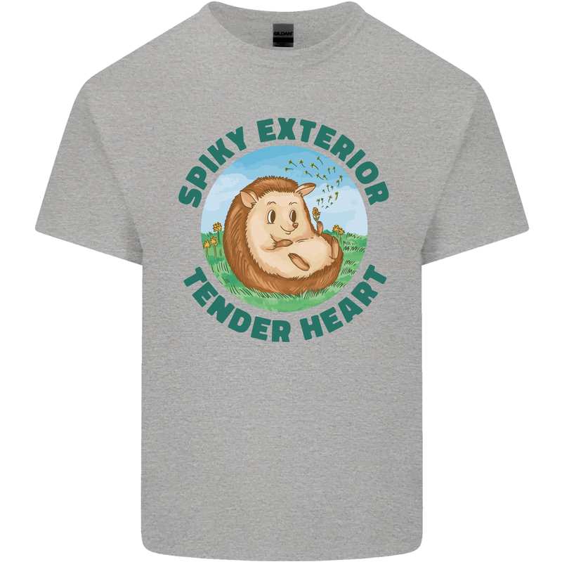 Hedgehog Spiky Exterior Tender Heart Kids T-Shirt Childrens Sports Grey