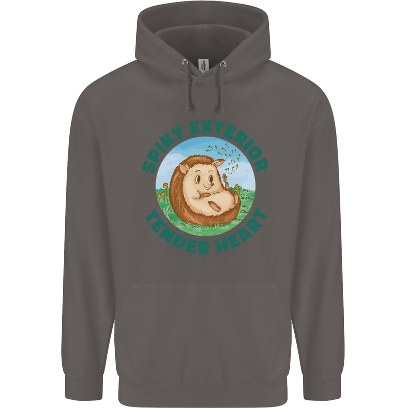Hedgehog Spiky Exterior Tender Heart Mens 80% Cotton Hoodie Charcoal