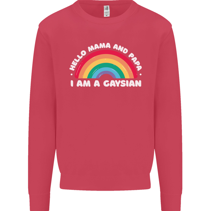 Hello Mama & Papa Im a Gaysian LGBT Kids Sweatshirt Jumper Heliconia