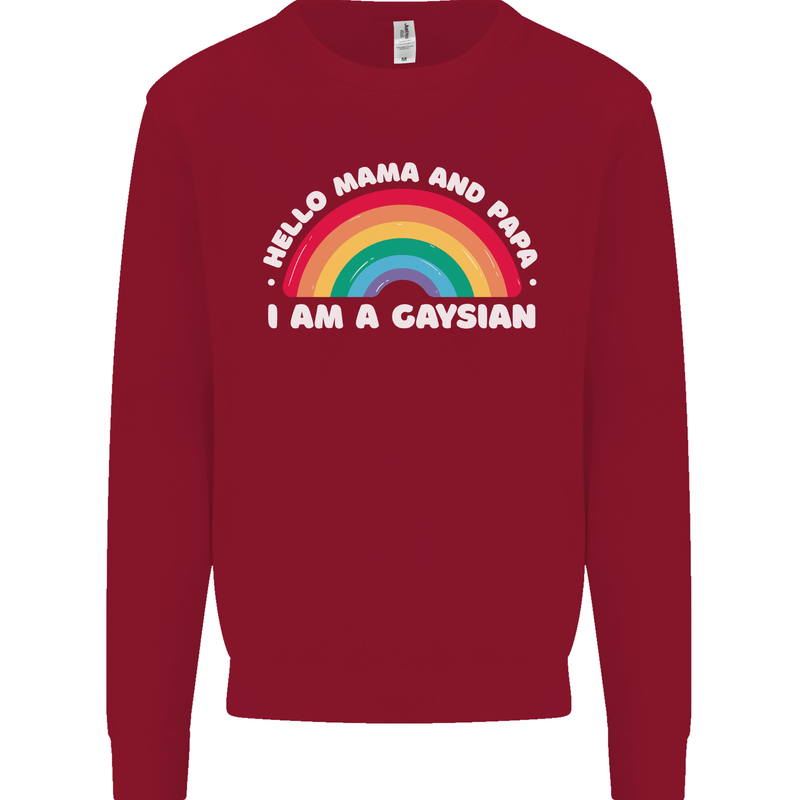 Hello Mama & Papa Im a Gaysian LGBT Kids Sweatshirt Jumper Red