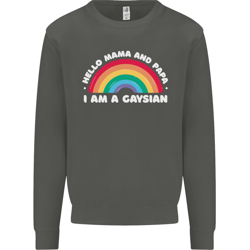 Hello Mama & Papa Im a Gaysian LGBT Kids Sweatshirt Jumper Storm Grey